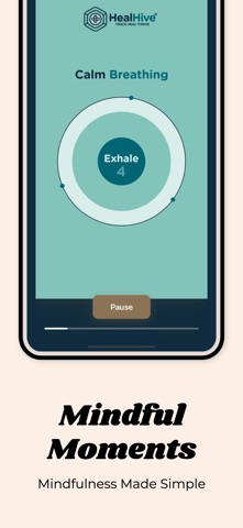 HealHive screenshot