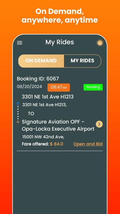 Cata Global Chauffeur Screenshot