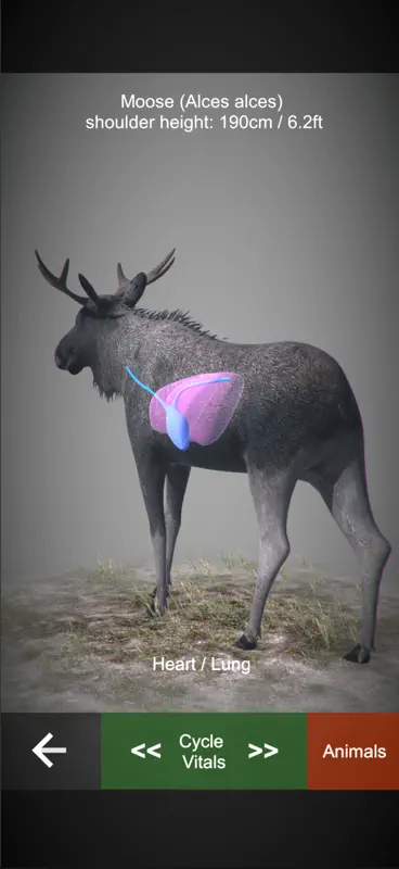 Rifle Hunt Simulator screenshot 6 of 9