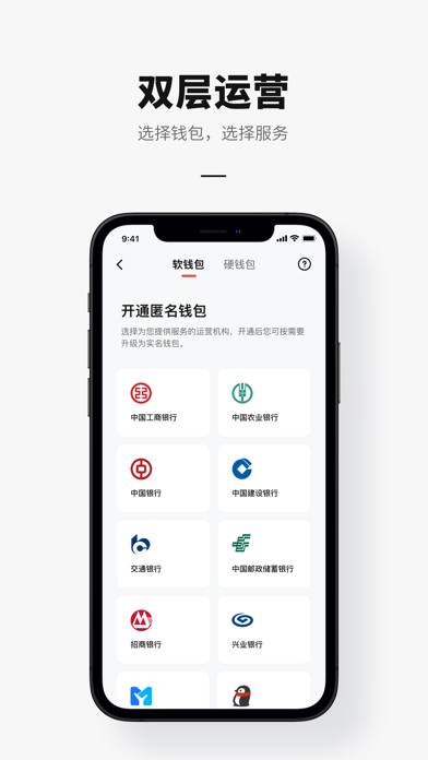 e-CNY Screenshot