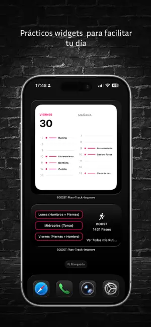 BOOST Plan-Track-Improve screenshot 1