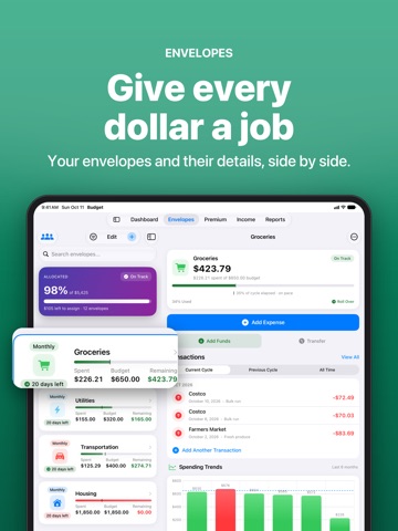 Budget Envelopes iPad screenshot