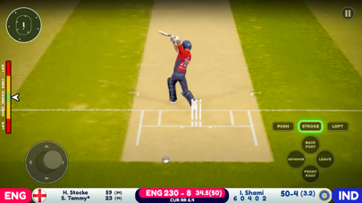 World Cricket Odi Wcc 2024 Screenshot