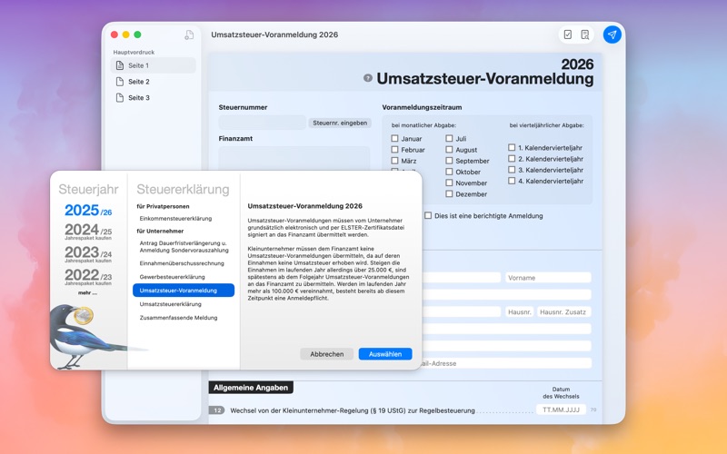 Steuererklärung screenshot