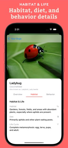 Insect Identifier: Bug Lens screenshot