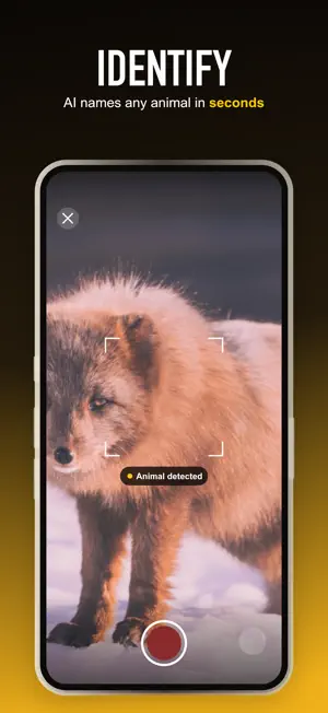 WildDex: Animal Identifier screenshot 2
