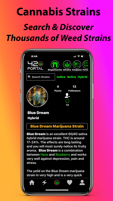 420Portal: Weed & Cannabis Screenshot