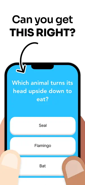 General Knowledge Trivia Quiz. screenshot 4