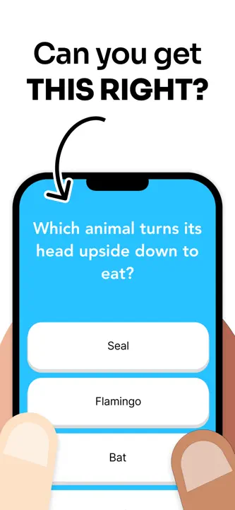 General Knowledge Trivia Quiz. screenshot 4