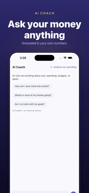 LeanWallet: Budget & Expenses screenshot 3