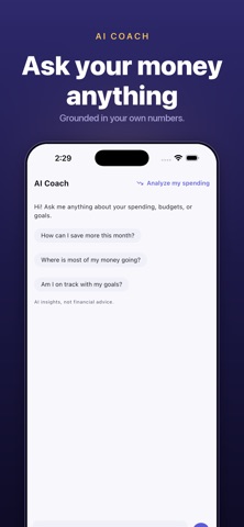 LeanWallet: Budget & Expenses Screenshot 3 of 9