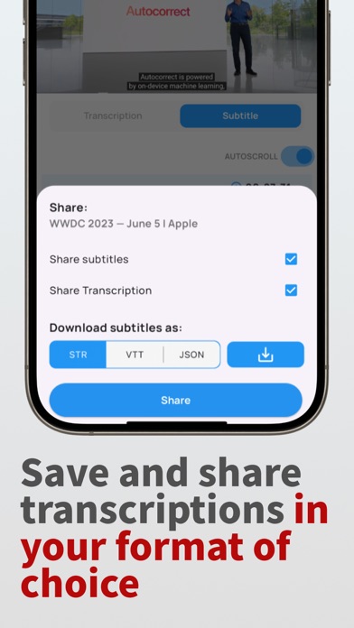 Youtube Transcripts - YouSumm Screenshot