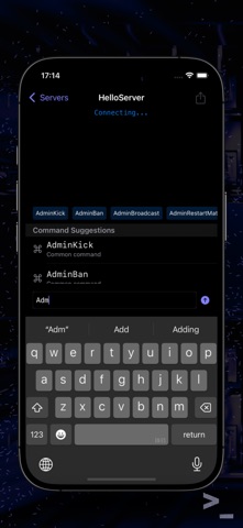 RCON 控制台服务器管理工具 screenshot