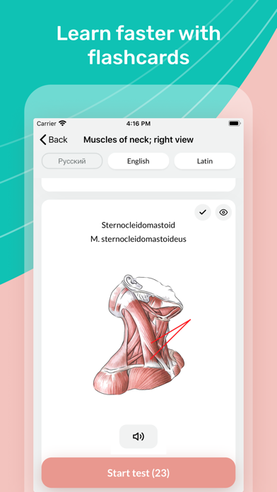 Easy Anatomy 3D Screenshot