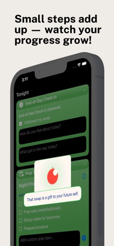 Lighter Tomorrow screenshot