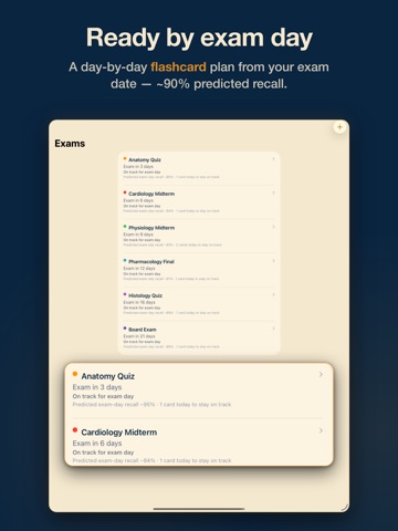 Discito: FSRS Flashcards iPad screenshot