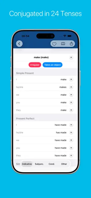 English Verb Conjugator screenshot 2