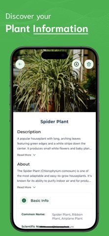 Plant Identifier - PI Screenshot 3 of 5