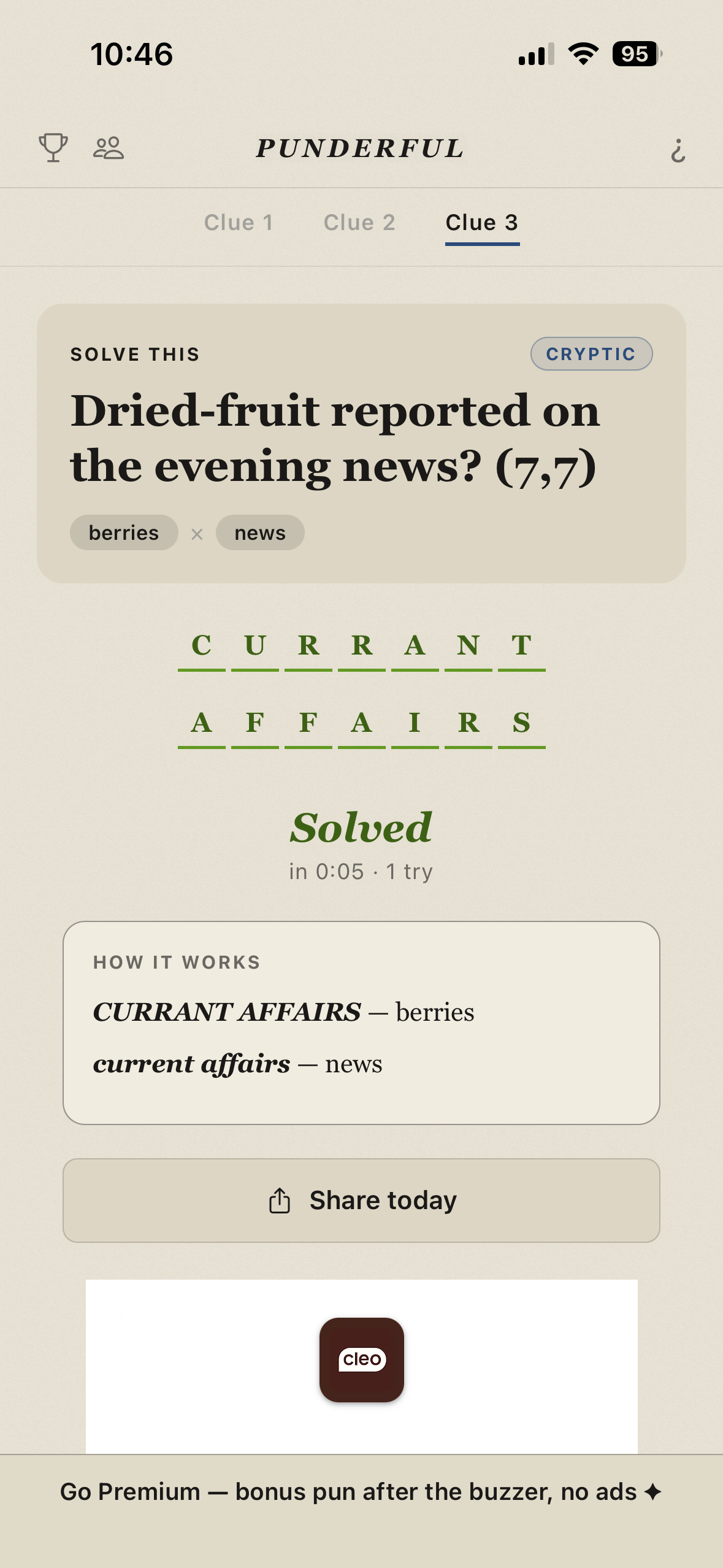 Punderful screenshot 6