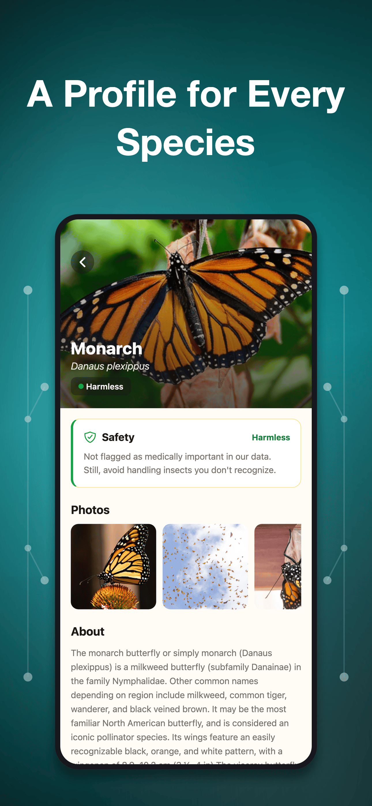 Bug Identifier・Insect ID screenshot 2