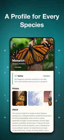 Bug Identifier・Insect ID Screenshot 2 of 4