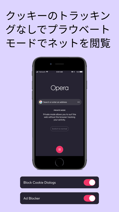 Opera ブラウザとプライベート VPNのおすすめ画像7