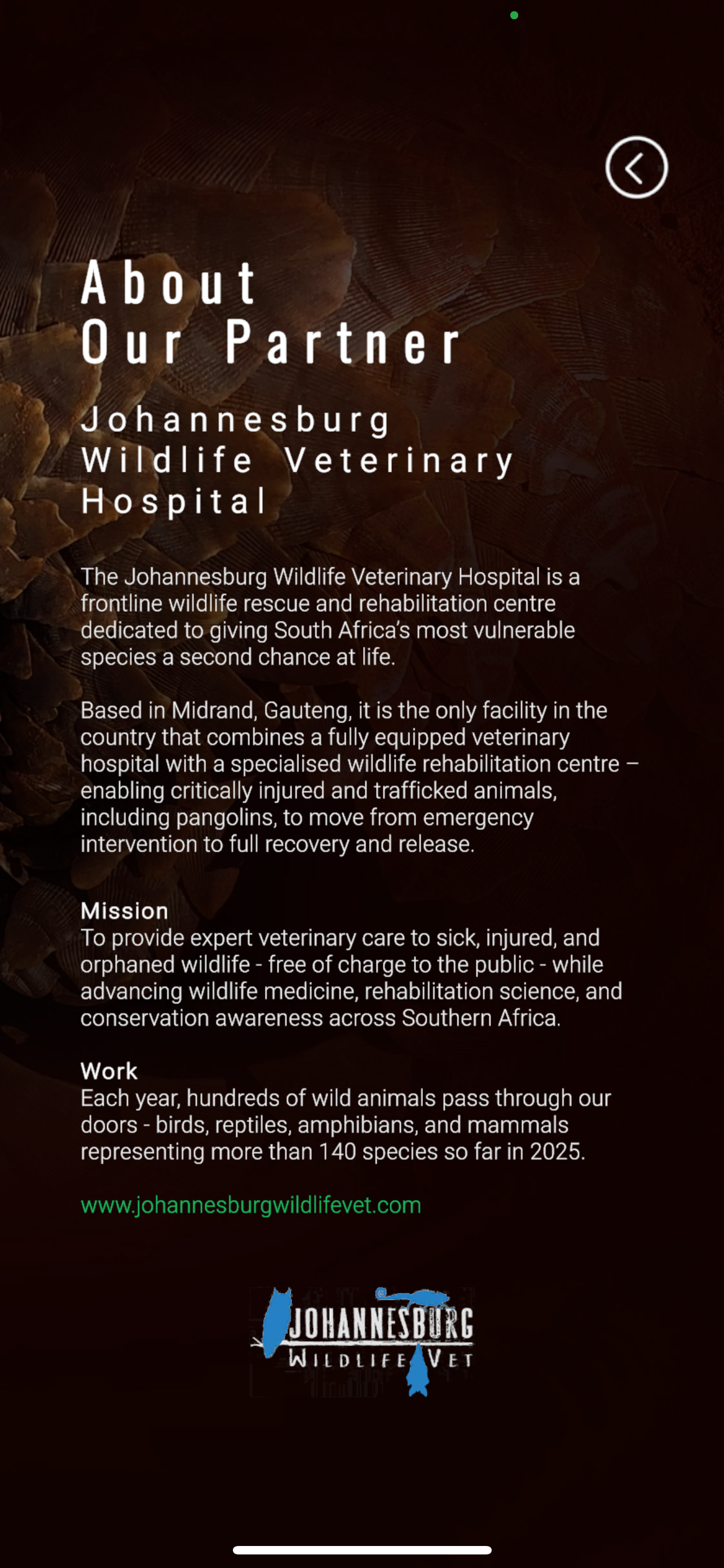 Wild Voices: Pangolin screenshot 5