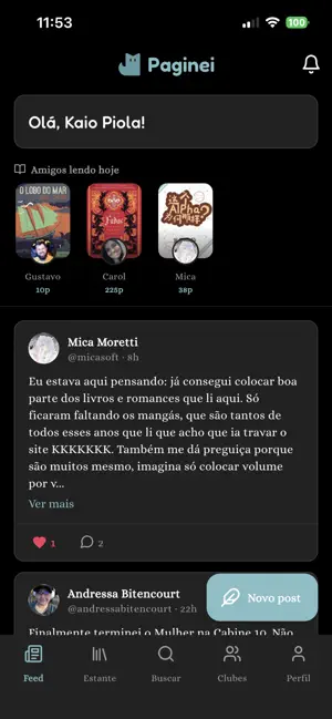 Paginei screenshot 1