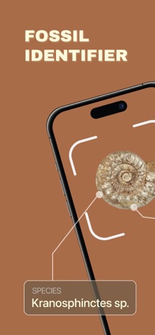 Fossil Identifier: AI Scanner screenshot