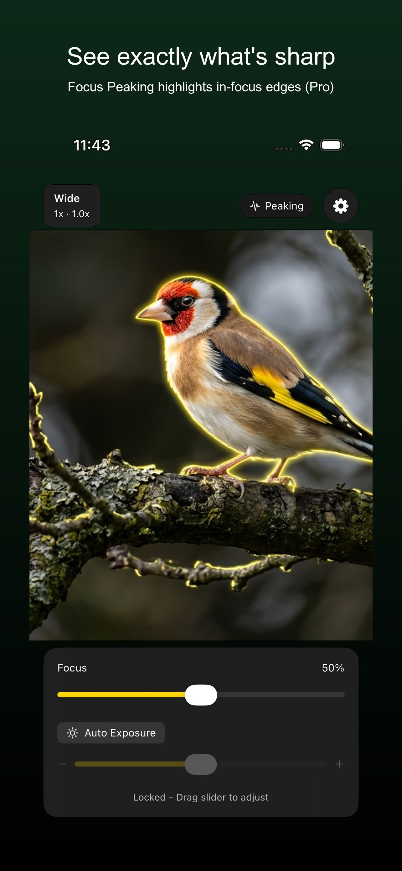 FixedFocus: Digiscoping Cam screenshot 3