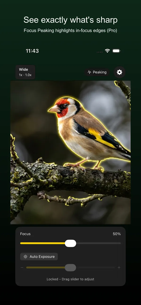 Screenshot #3 pour FixedFocus: Digiscoping Cam