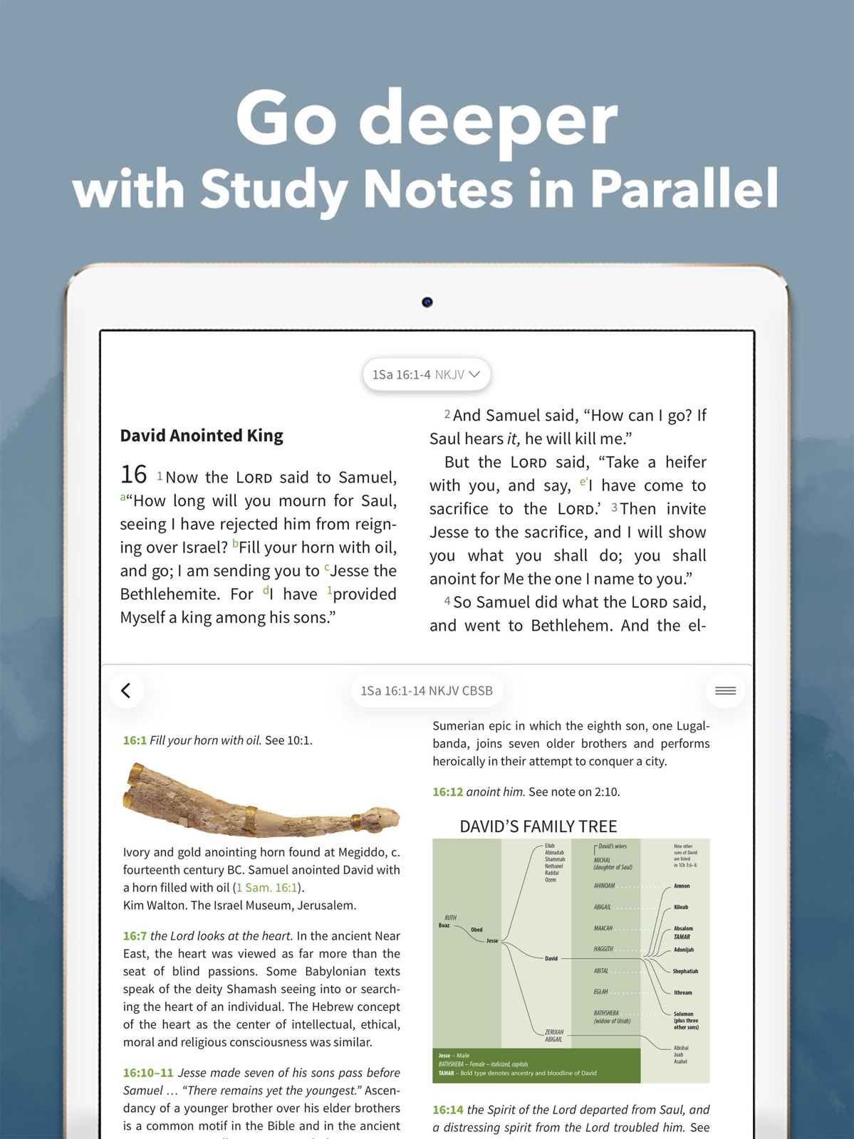 NKJV Bible by Olive Tree ipad screenshot 3