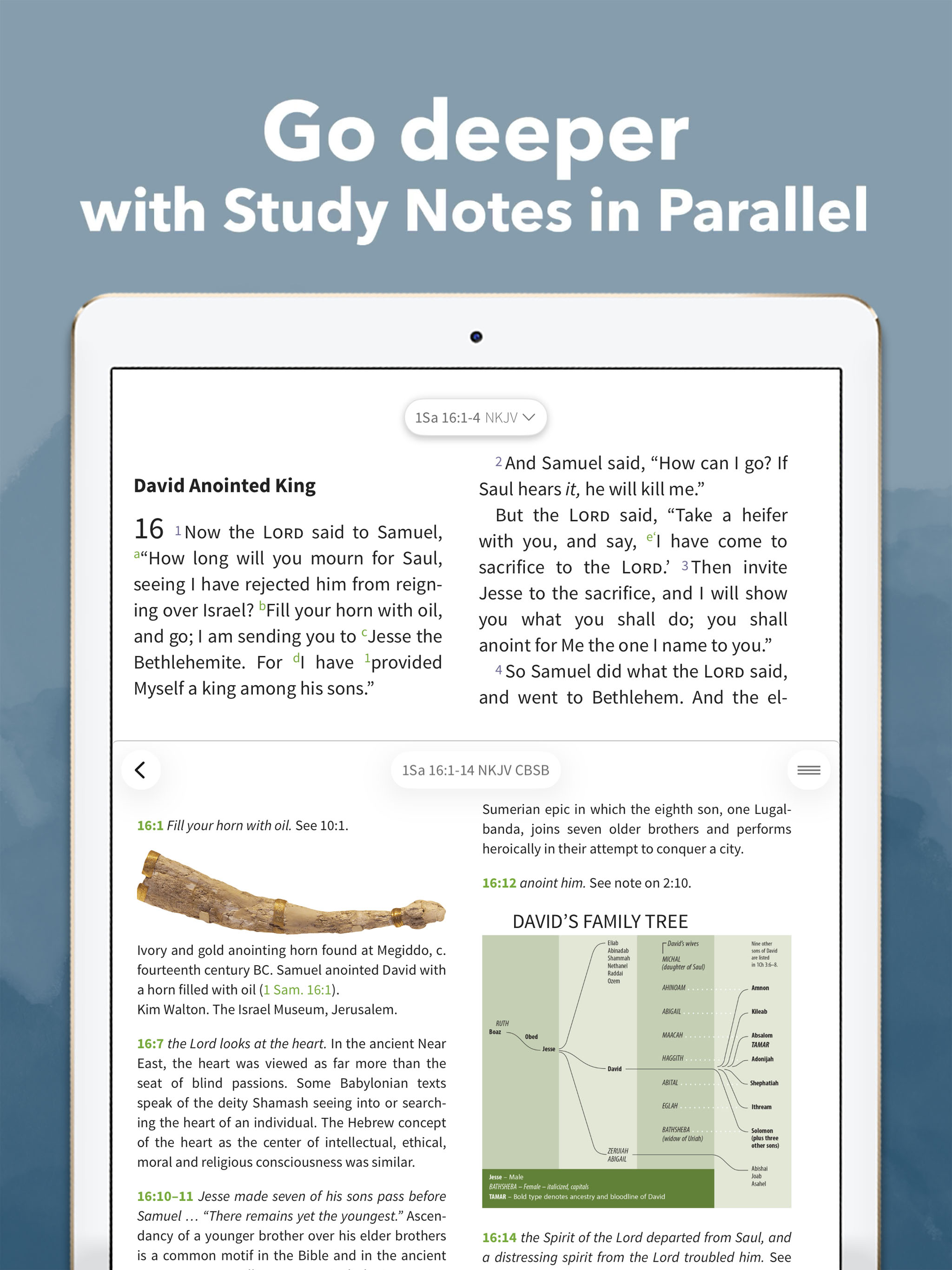 NKJV Bible by Olive Tree screenshot 12