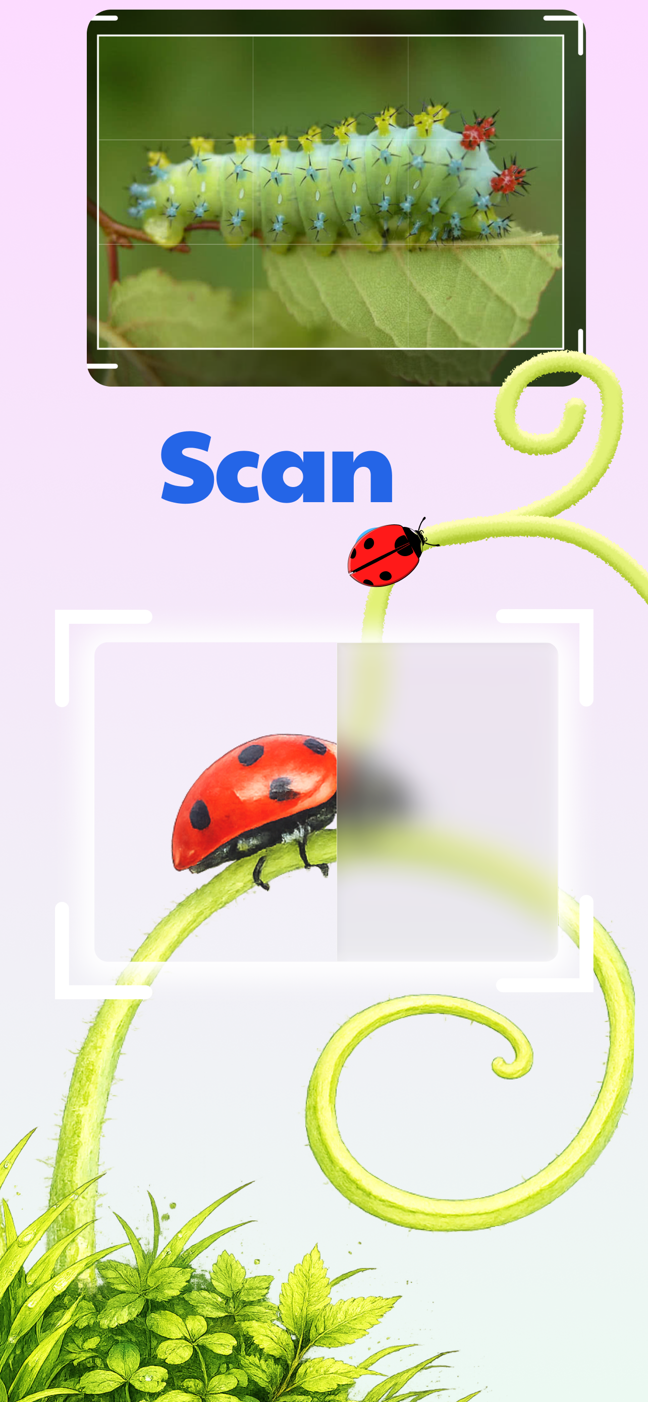 Bugster: Bug Identifier screenshot 4