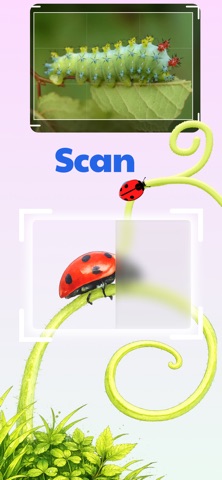 Bugster: Bug Identifier Screenshot 4 of 7