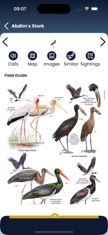 Roberts Birds screenshot