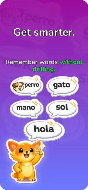 LingoLens - Learn Spanish fast screenshot 4