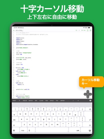 シンプルPython iPad screenshot 3
