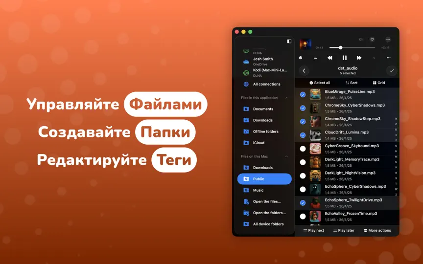 Скриншот Evermusic на iPhone 9