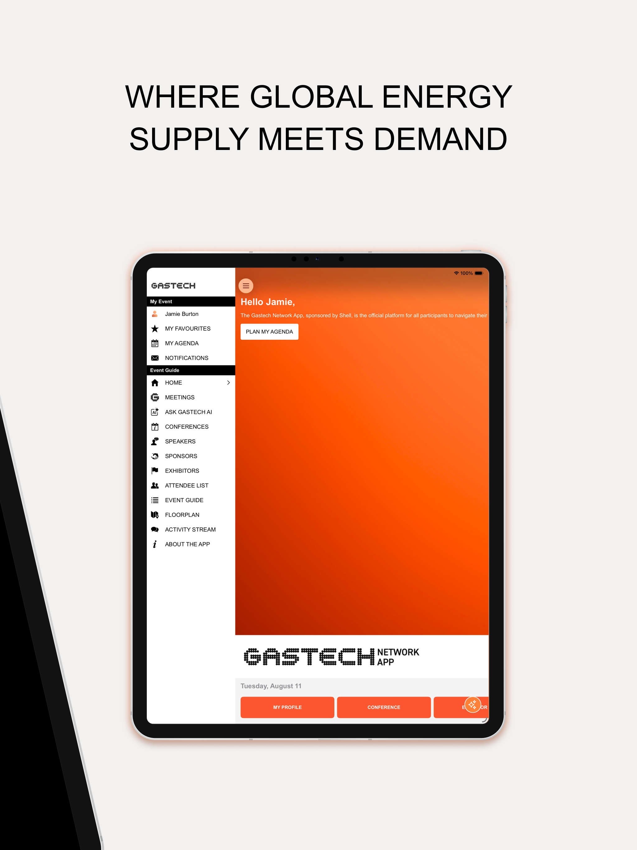 The Gastech Network screenshot 7