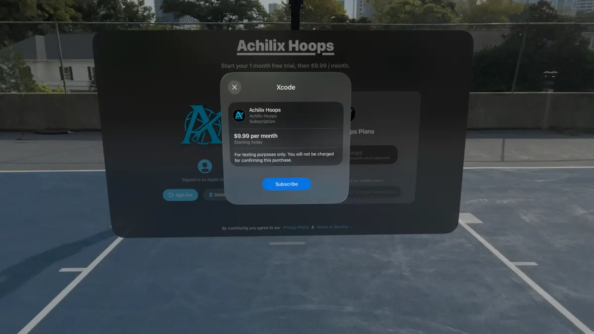 Achilix Hoops screenshot 8