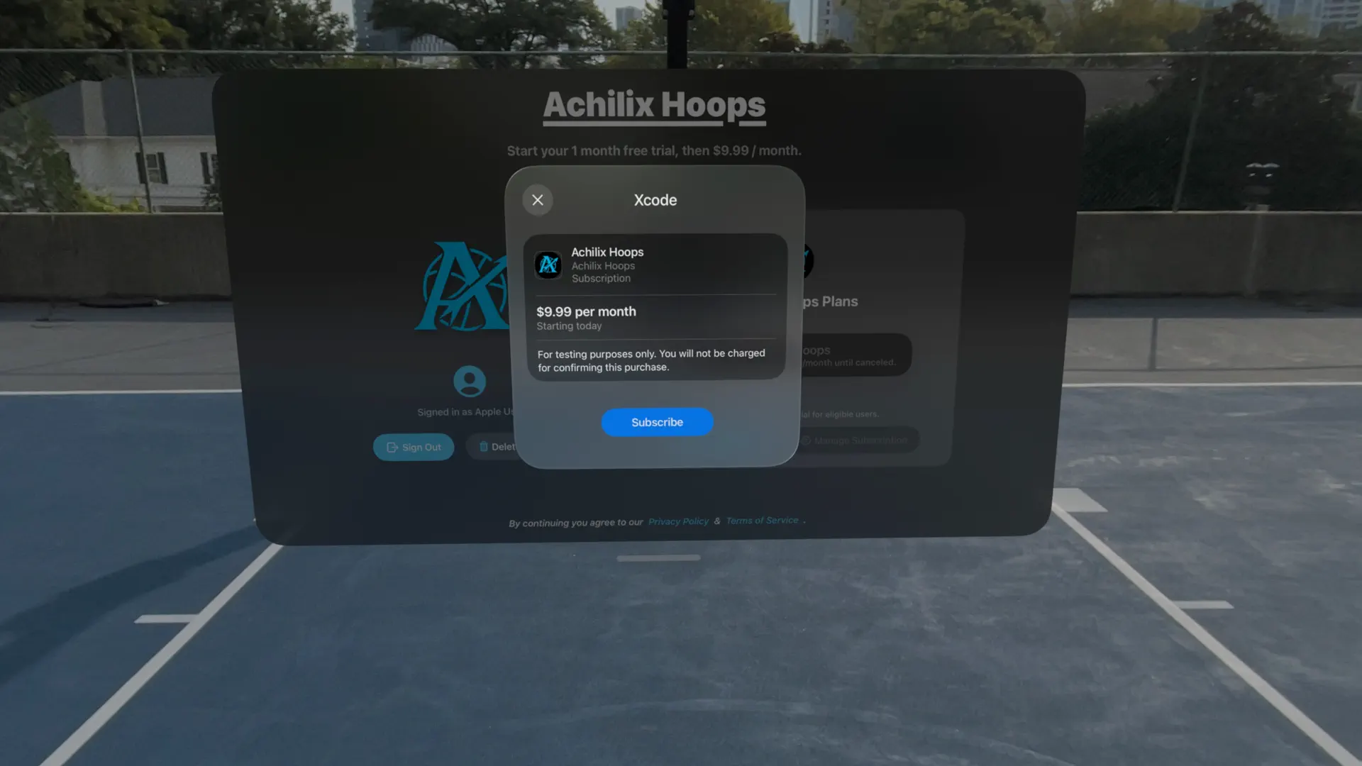 Achilix Hoops screenshot 8