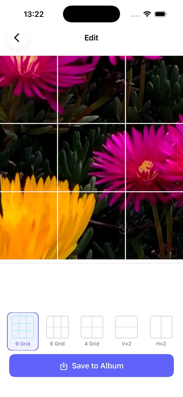 Screenshot #2 pour PicSplit