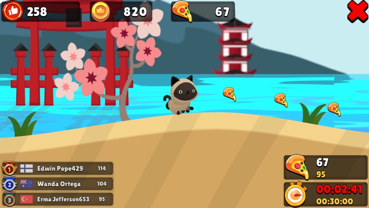 Pig Racing Simulator