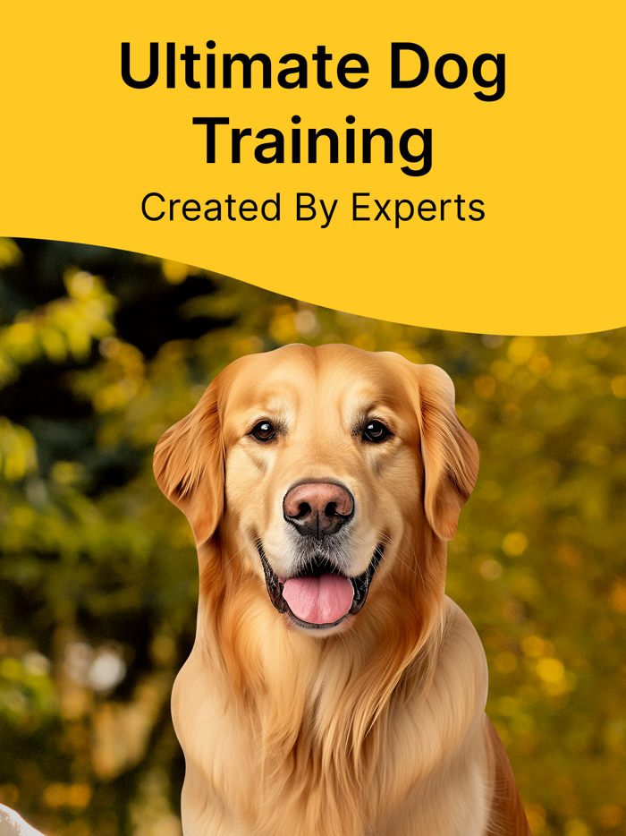 Dog Training  Pet Care Tricks