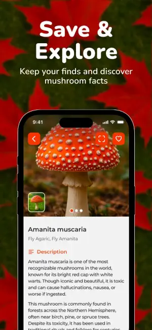 Mushroom Identifier - FWise screenshot 4