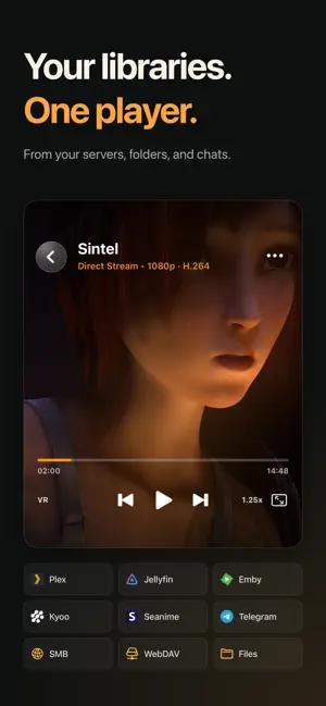 Saisei Player screenshot 1