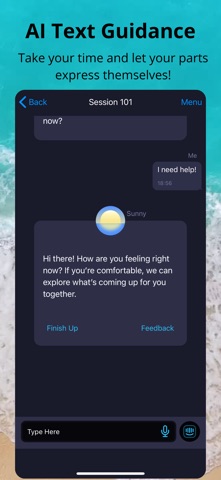 IFS Guide Screenshot 3 of 10