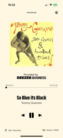 Deezer Business screenshot