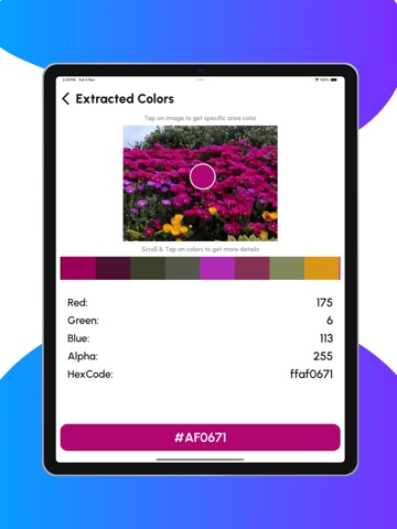 Image Color Extractor iPad screenshot